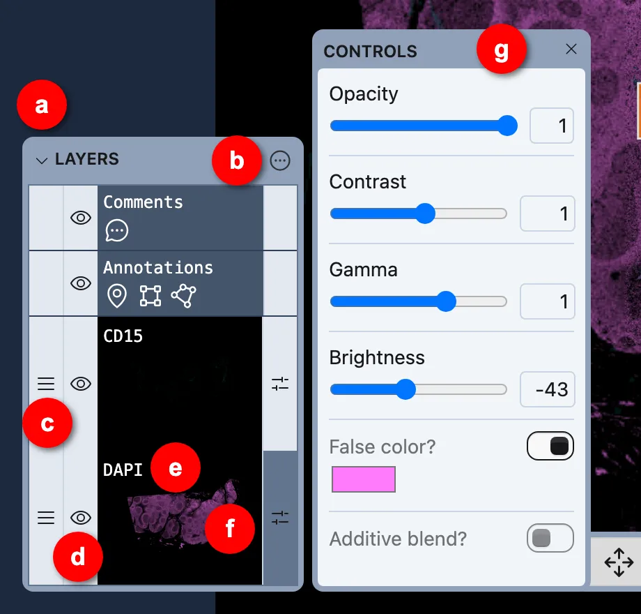 The Layers palette