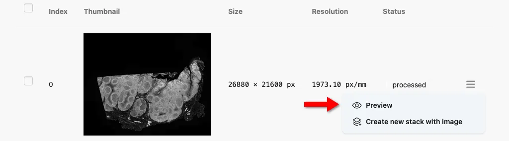 The individual upload page