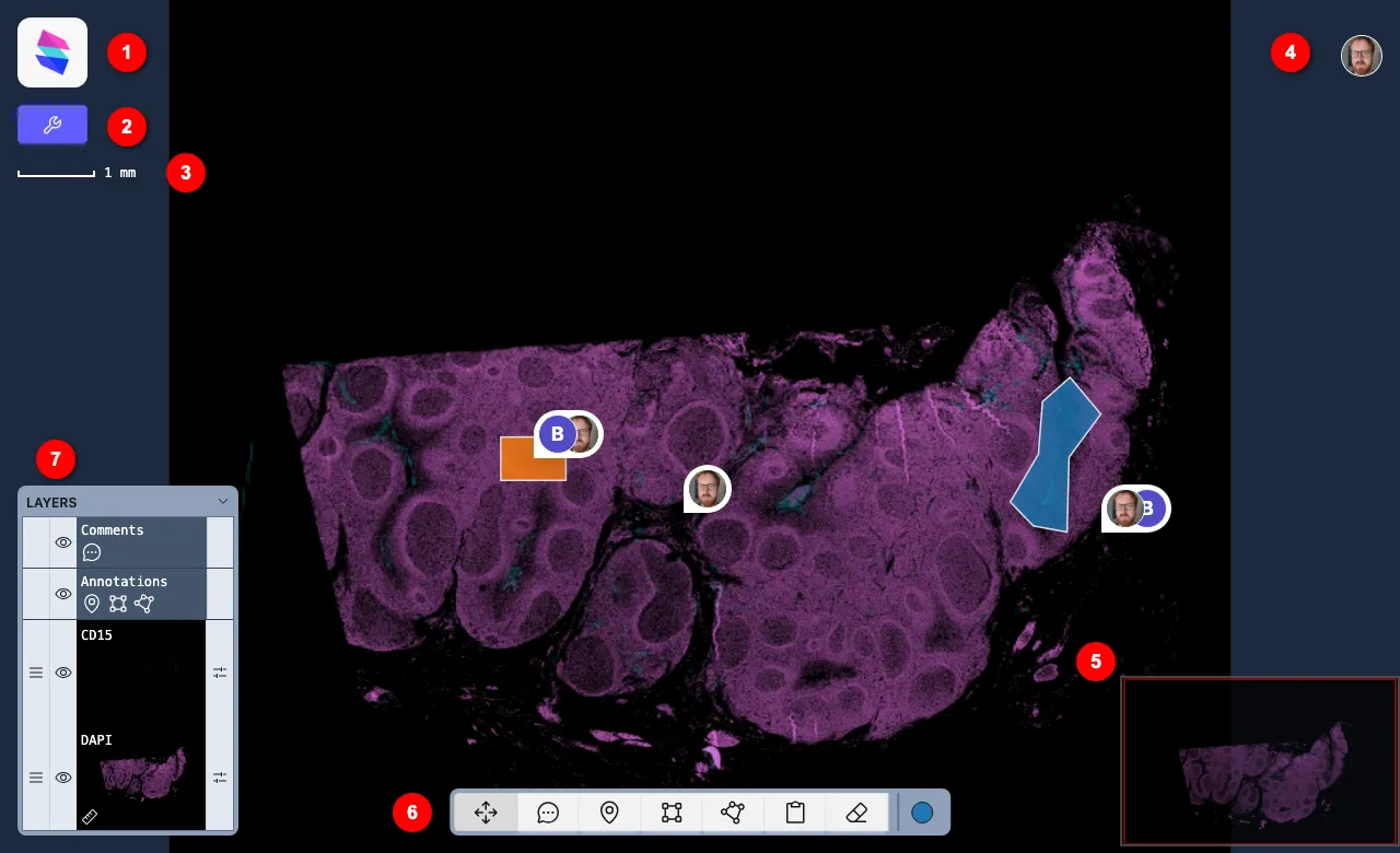 The StackViewer