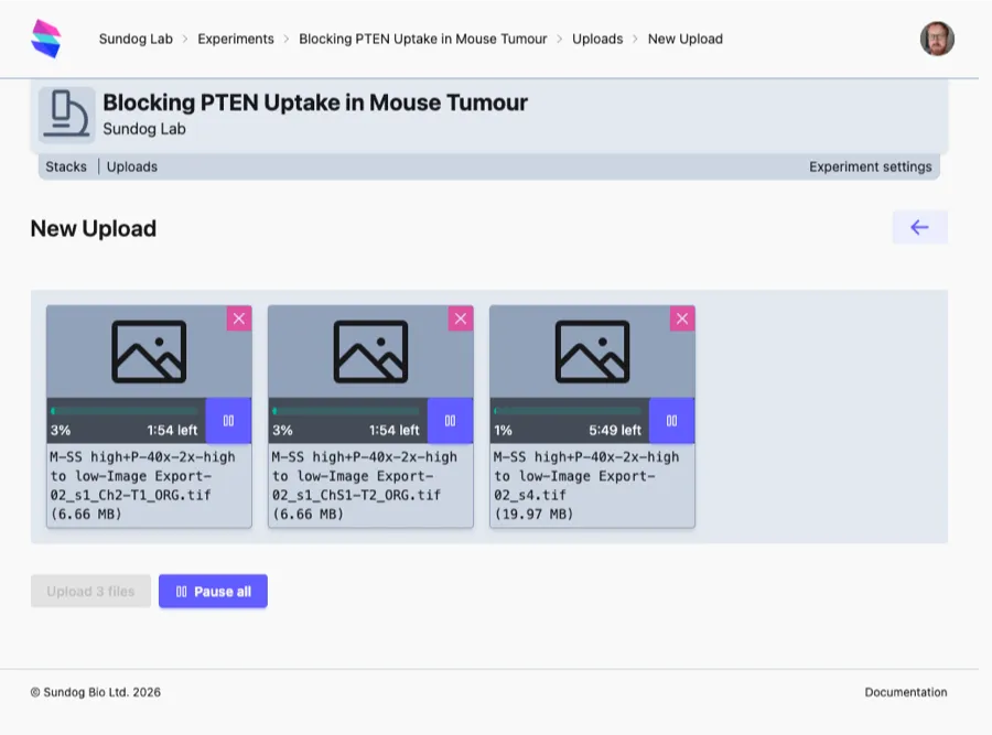 An upload of three files in progress