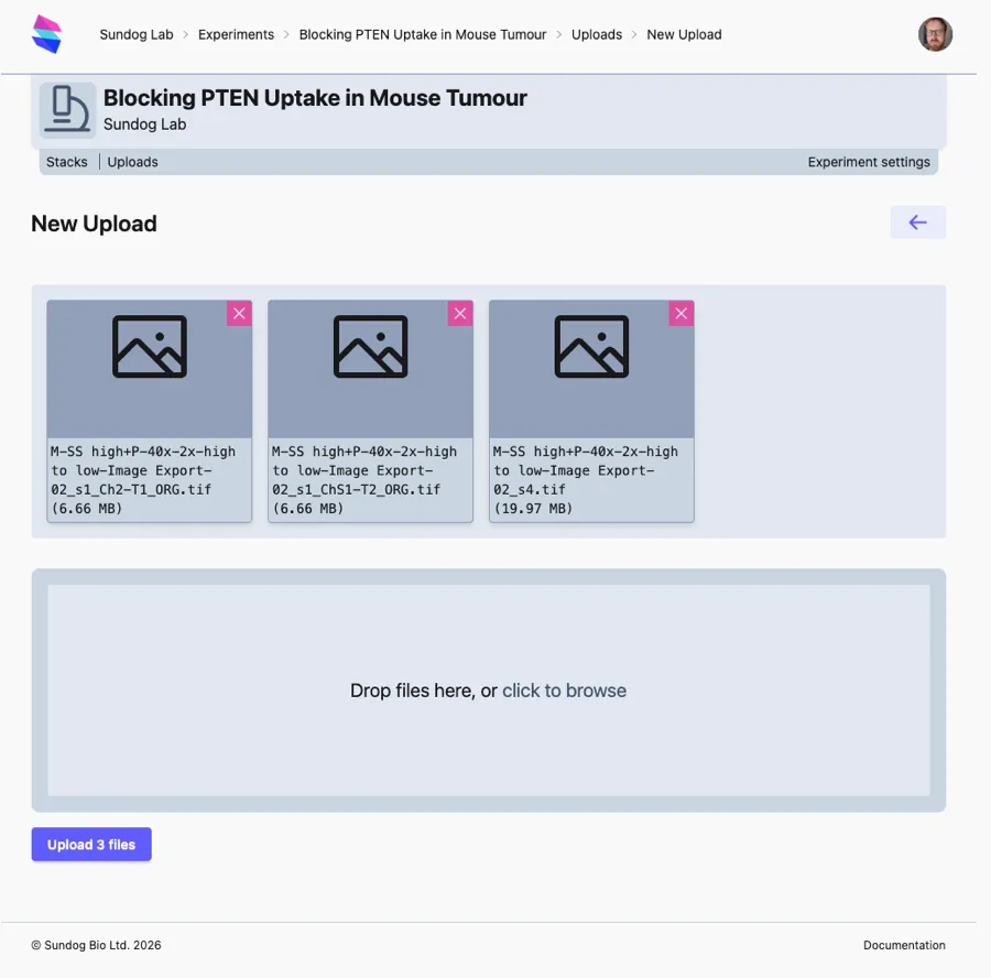 The upload page with uploads ready to go